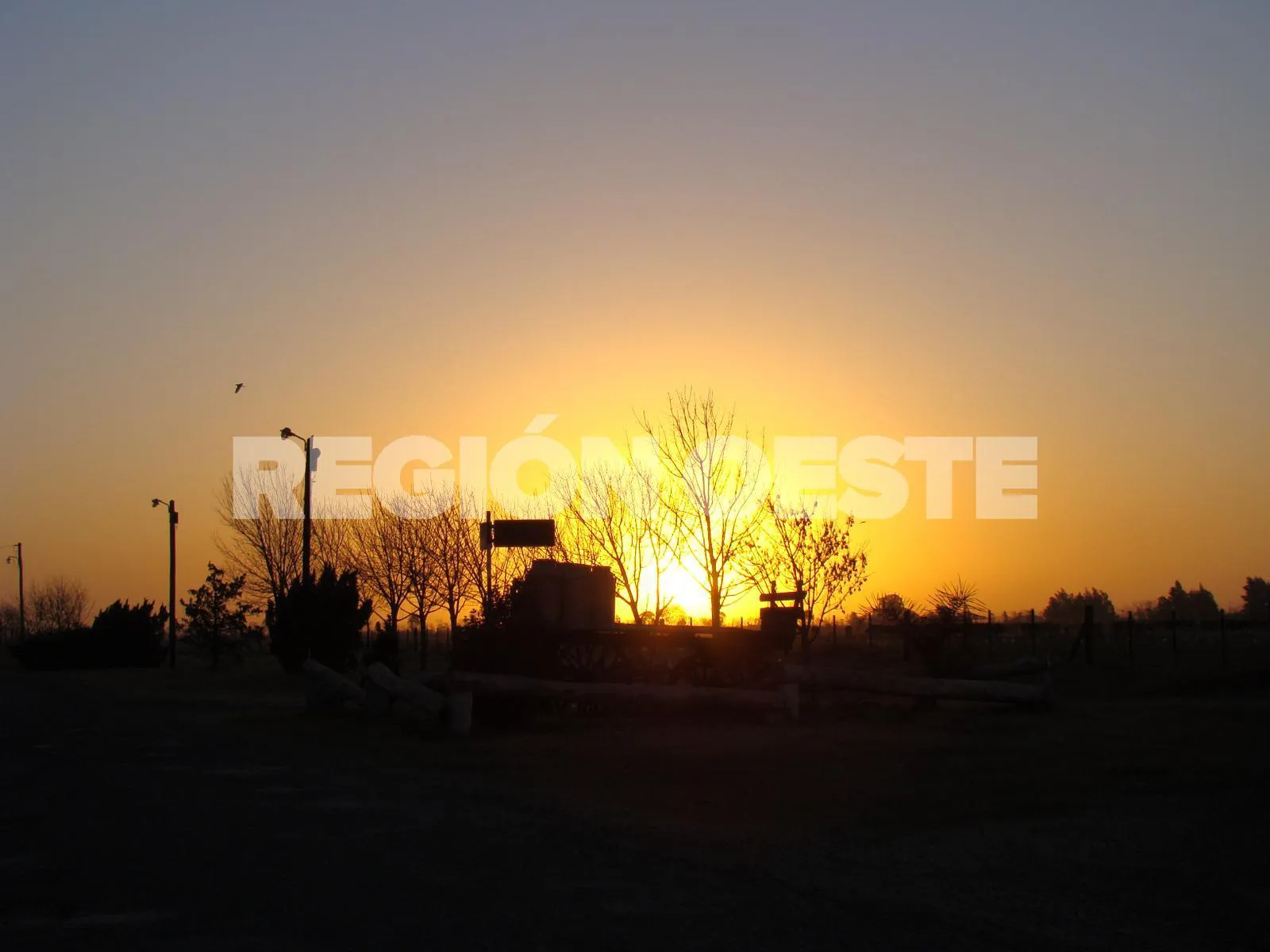 Avenida de los Tamberos 