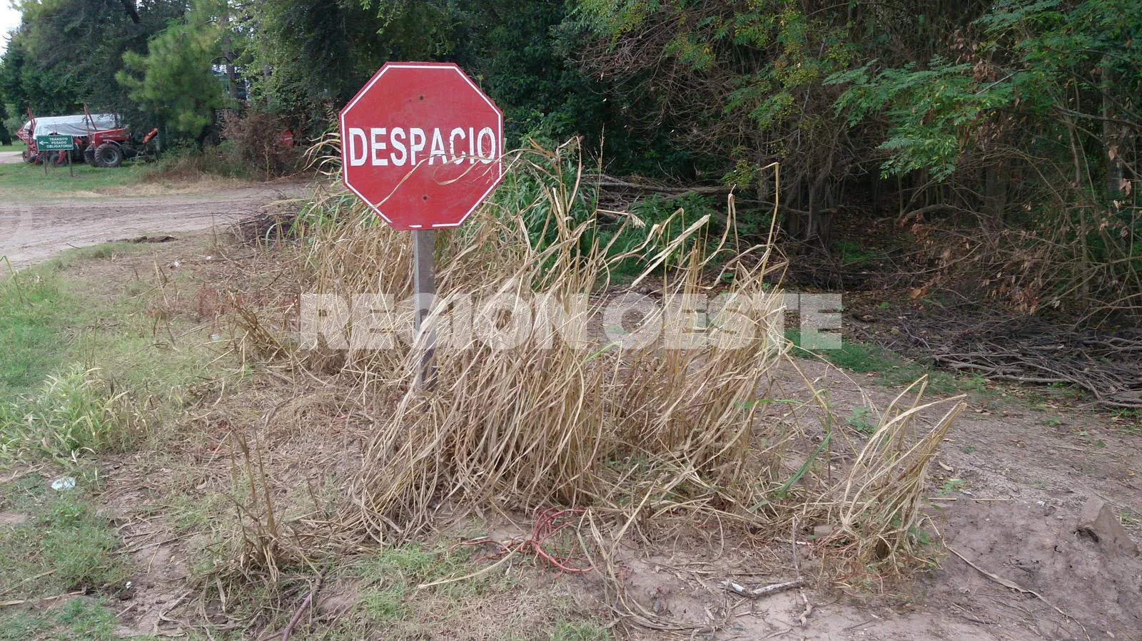 Glifosato en Colonia Raquel 