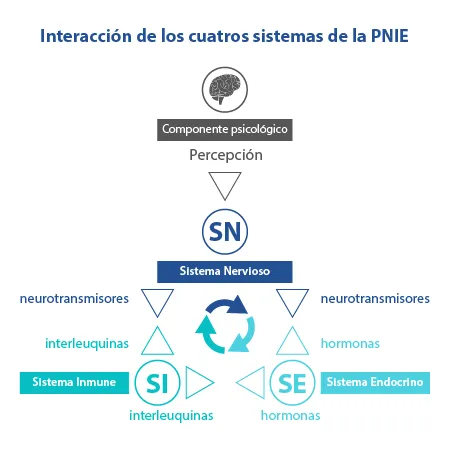 4-sistemas-pulbicacion-cuarentena-2