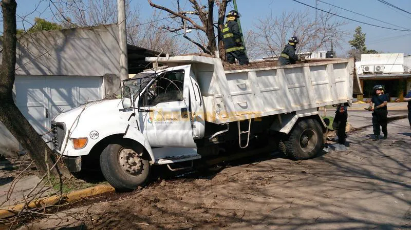 Camión municipal se estrelló contra el arbolado