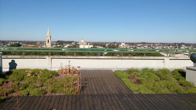 Terraza verde con vista a la Catedral