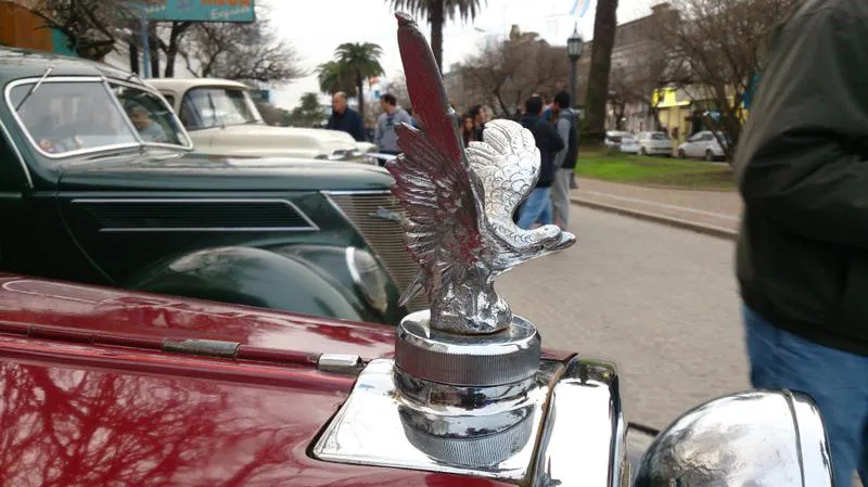 Coches de colección exhibidos antes de la largada 