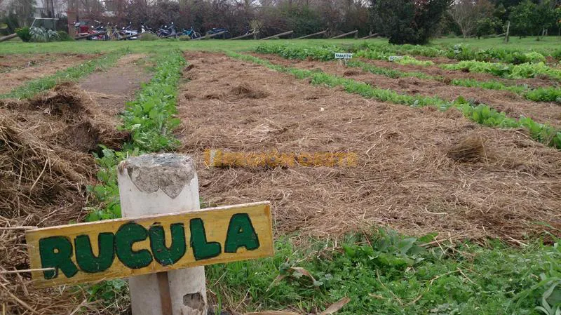 Huerta Orgánica en el Arboretum de Rafaela Huerta Orgánica en el Arboretum de Rafaela