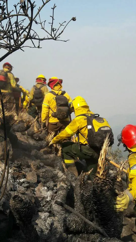 Bomberos santafesinos 