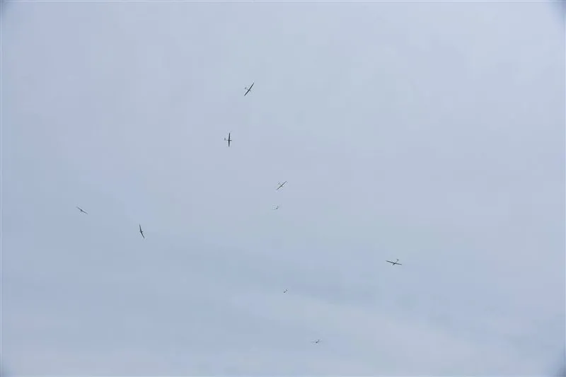 Campeonato Regional de Vuelo a Vela. Imagen cprafaela.com.ar