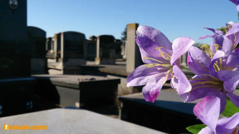 Ofrendas sencillas Ofrendas sencillas