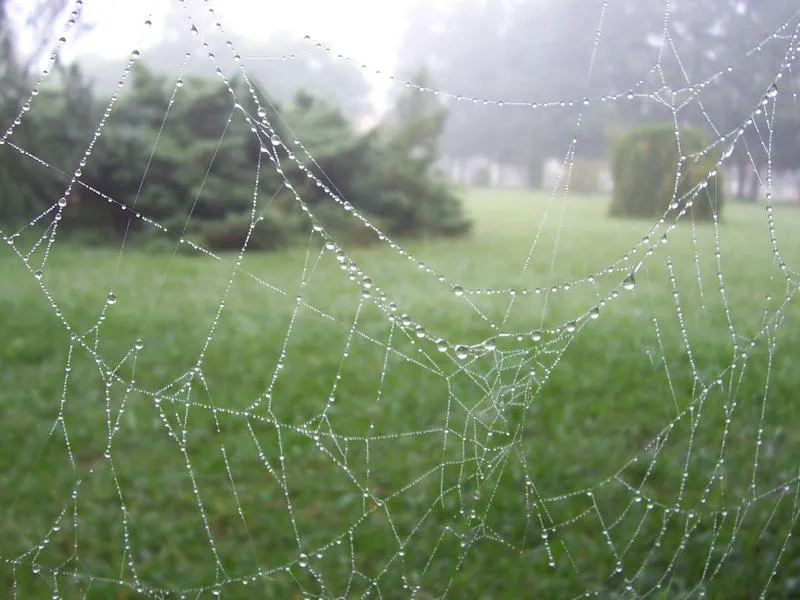 Este año el invierno comenzó con una prolongada lluvia 