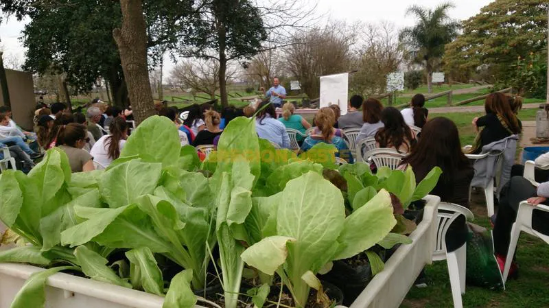 Taller de huertas y jardines terapéuticos Taller de huertas y jardines terapéuticos