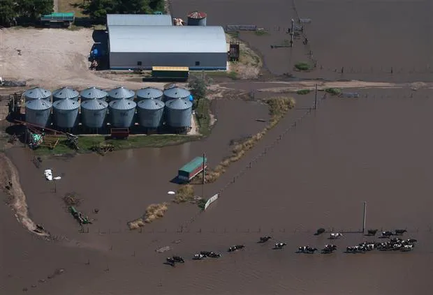 Campos inundados Campos inundados