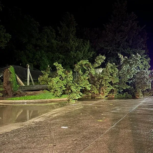 Temporal el San Francísco 1