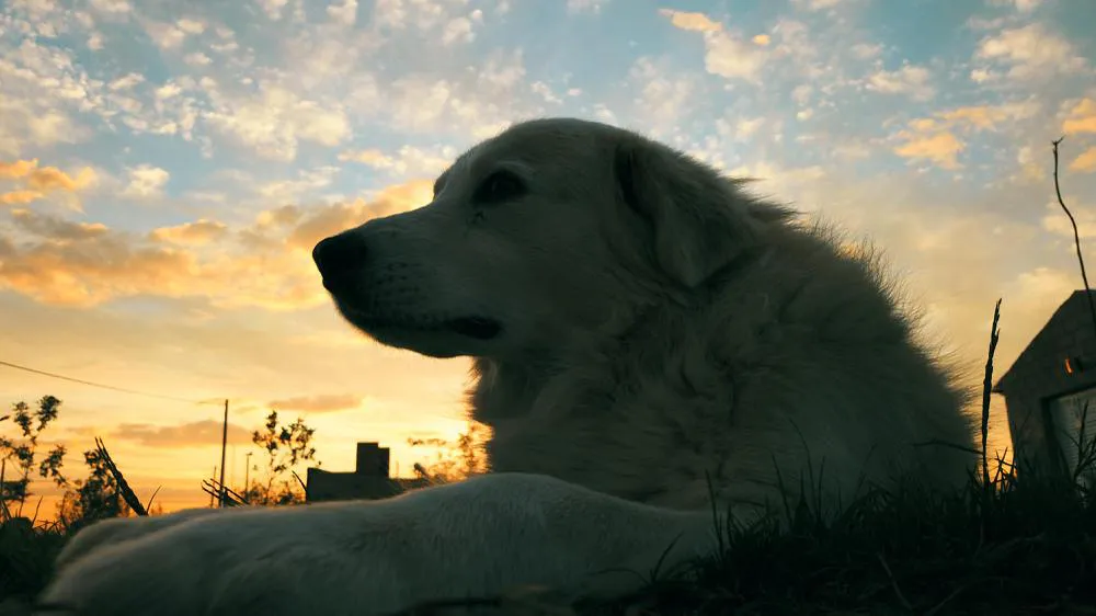 org_412d9d59a2dd0f58_1586122892000