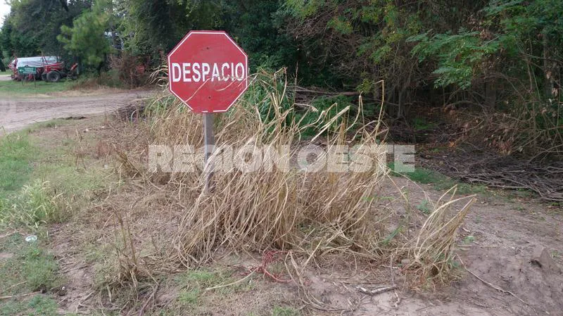 Glifosato en Colonia Raquel