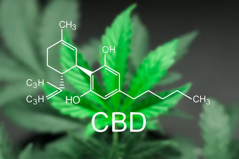 How-to-Choose-a-Medicinal-Cannabis-Strain-CBD-1