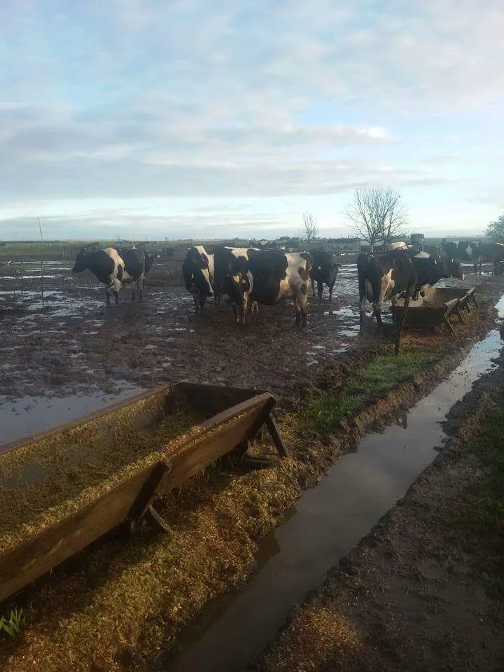 FB_IMG_1460680166612