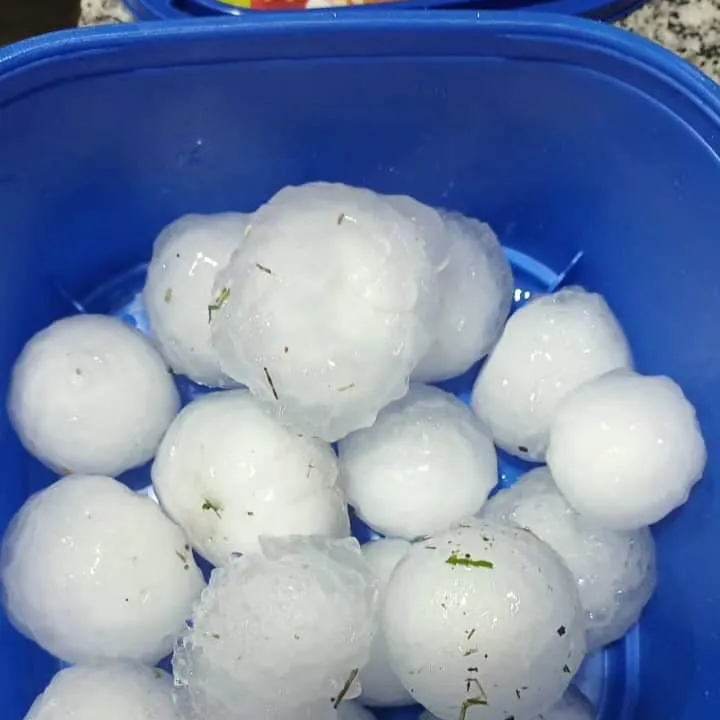 twittervid.com_mariogaloppo_c9e9b8