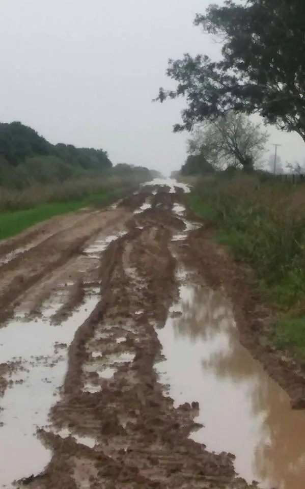 12987151_1126046004122462_5960886126591584915_n