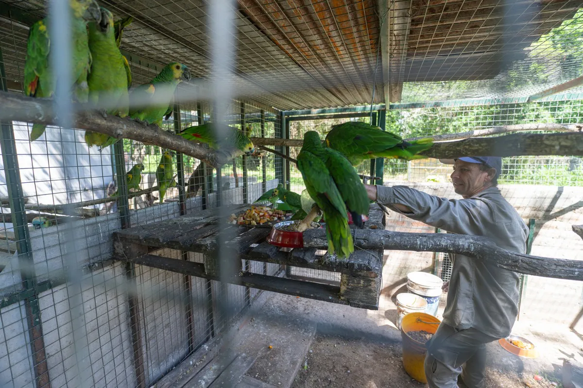 2024-11-17NID_281710O_1