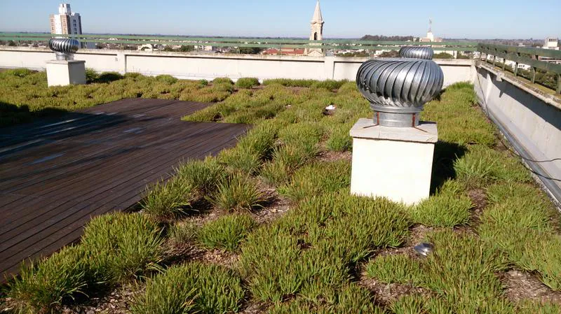 Terraza verde