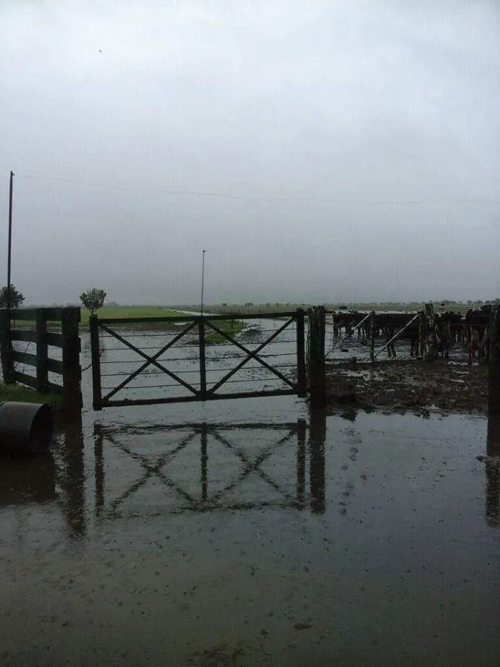 FB_IMG_1460680152494