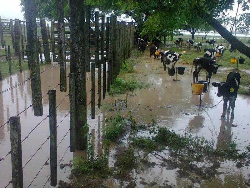 FB_IMG_1460680066811