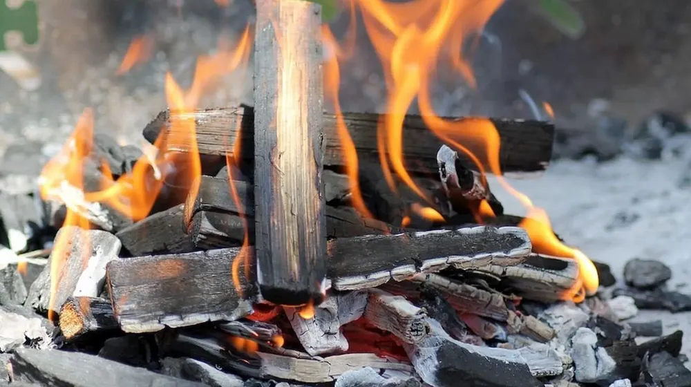 Leña para el Asado argentino