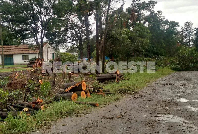 Colonia Raquel