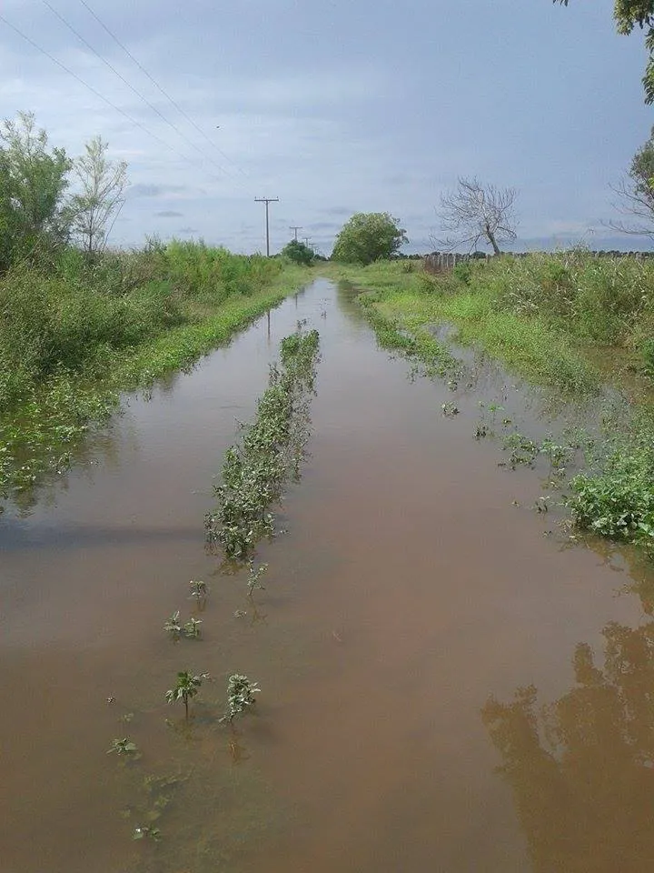 13062237_1125969457463450_7005960655449338445_n