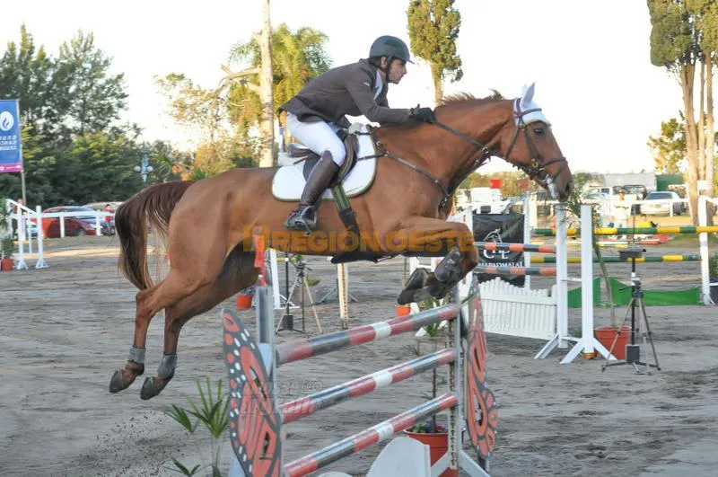 foto d.camusso domingo saltos hípicos (12)