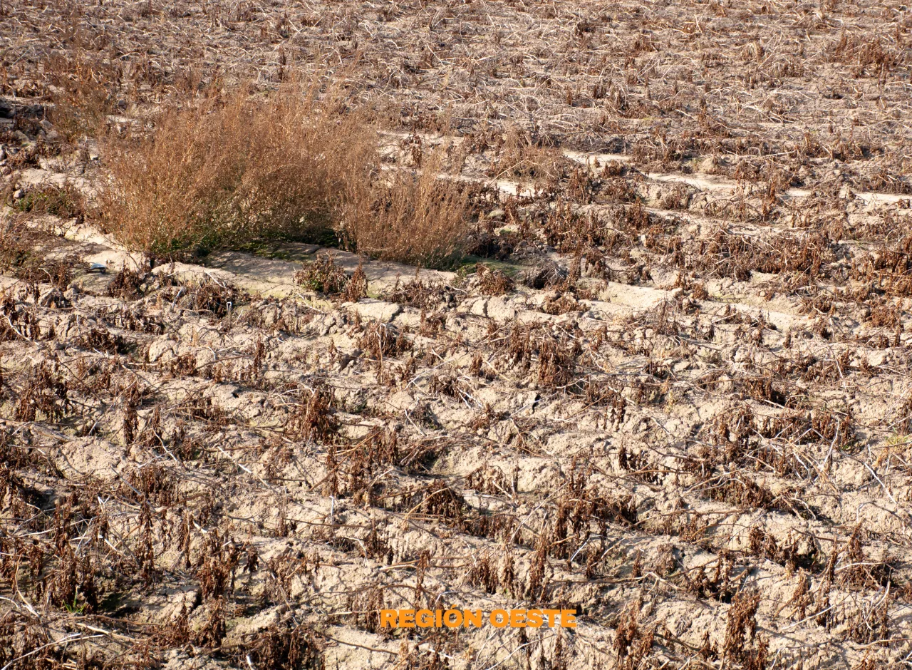 Imagenes Región Oeste