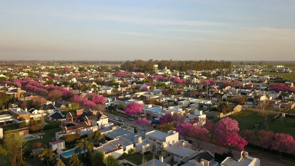 org_a7d2c645f7eb8efa_1537478852000