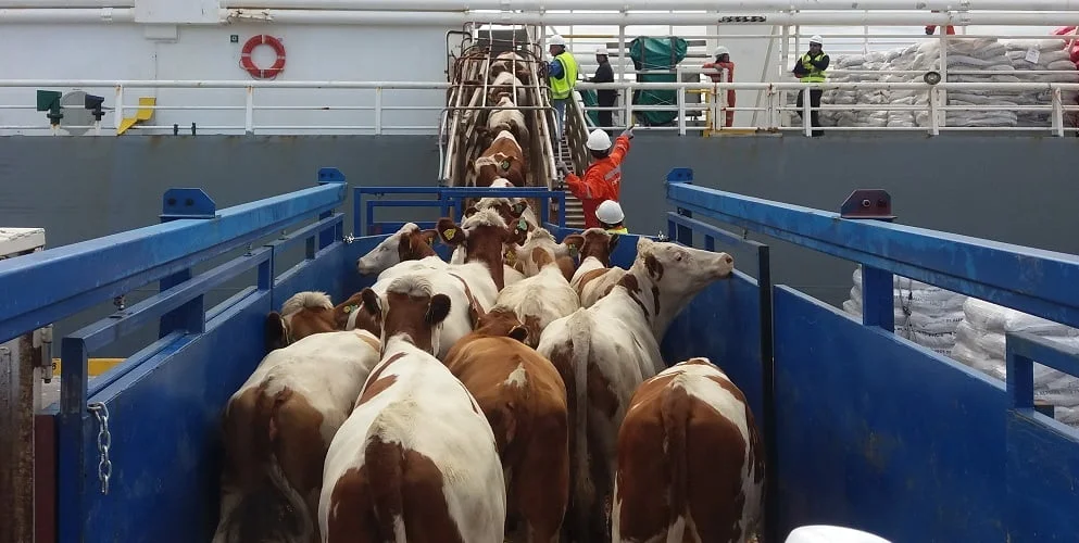 exportacion-de-hacienda