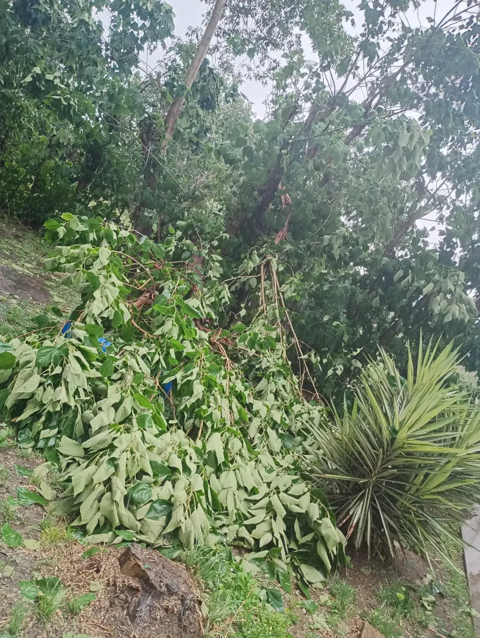 465794119_3897445530525319_2448658612294707397_n