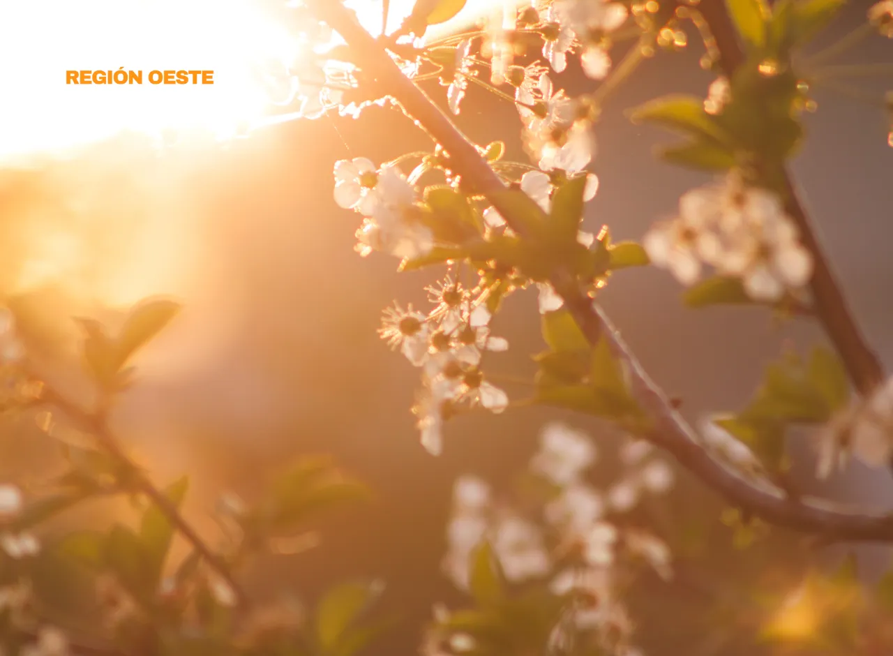 Region Oeste Imagen