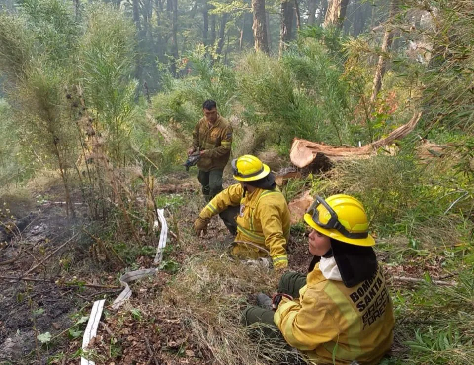 Incendio Patagonia 2025