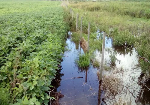 inundaciones-santa-fe