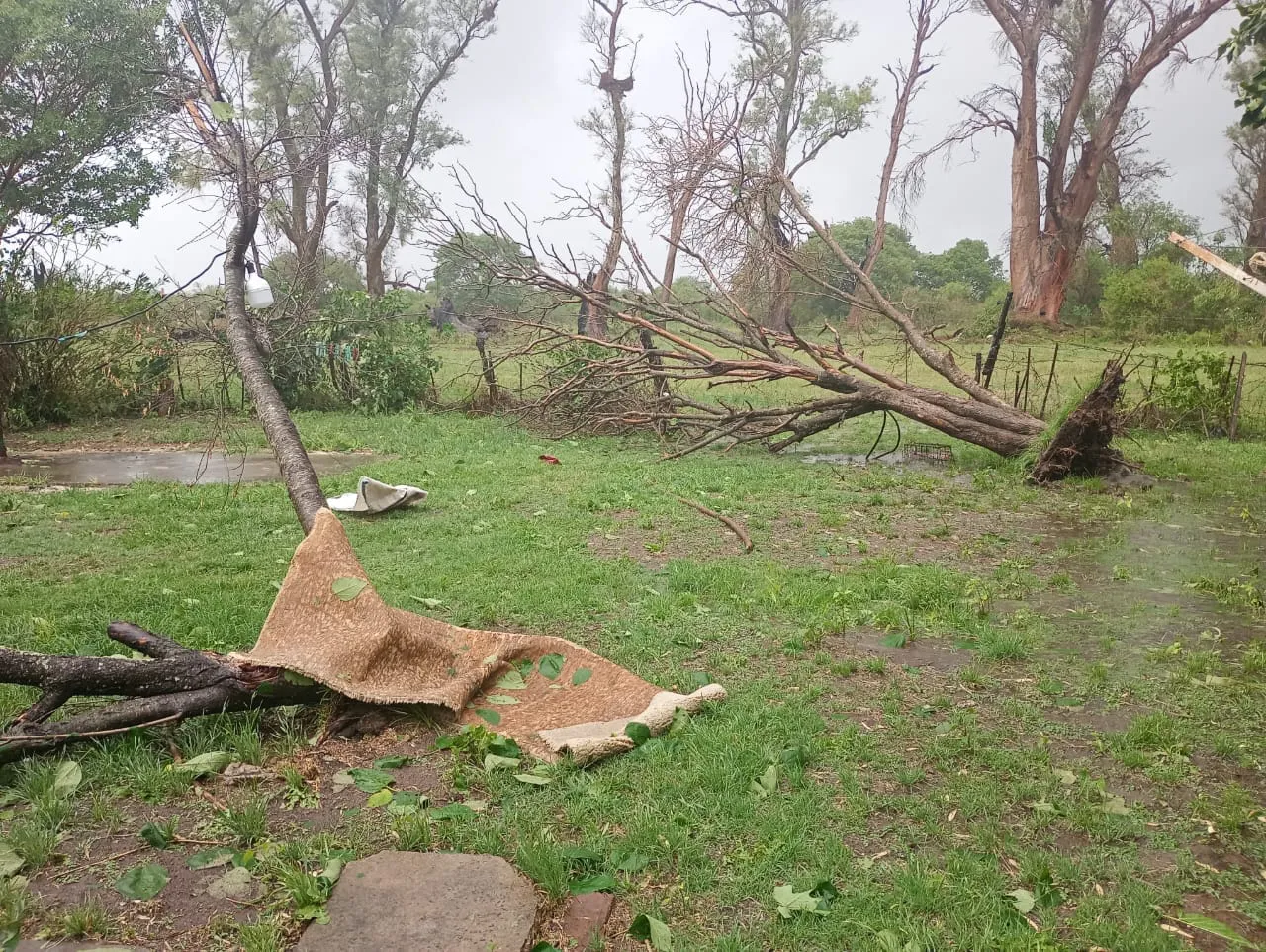 465911116_3897445337192005_3770456530383872445_n