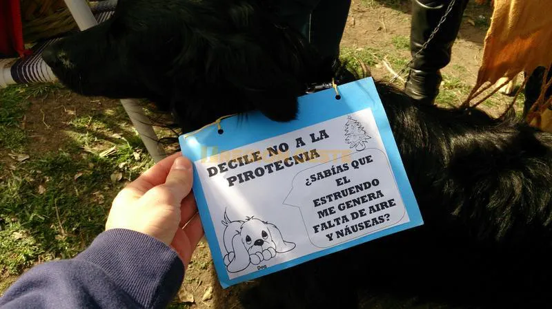 Campaña en contra del uso de pirotecnia