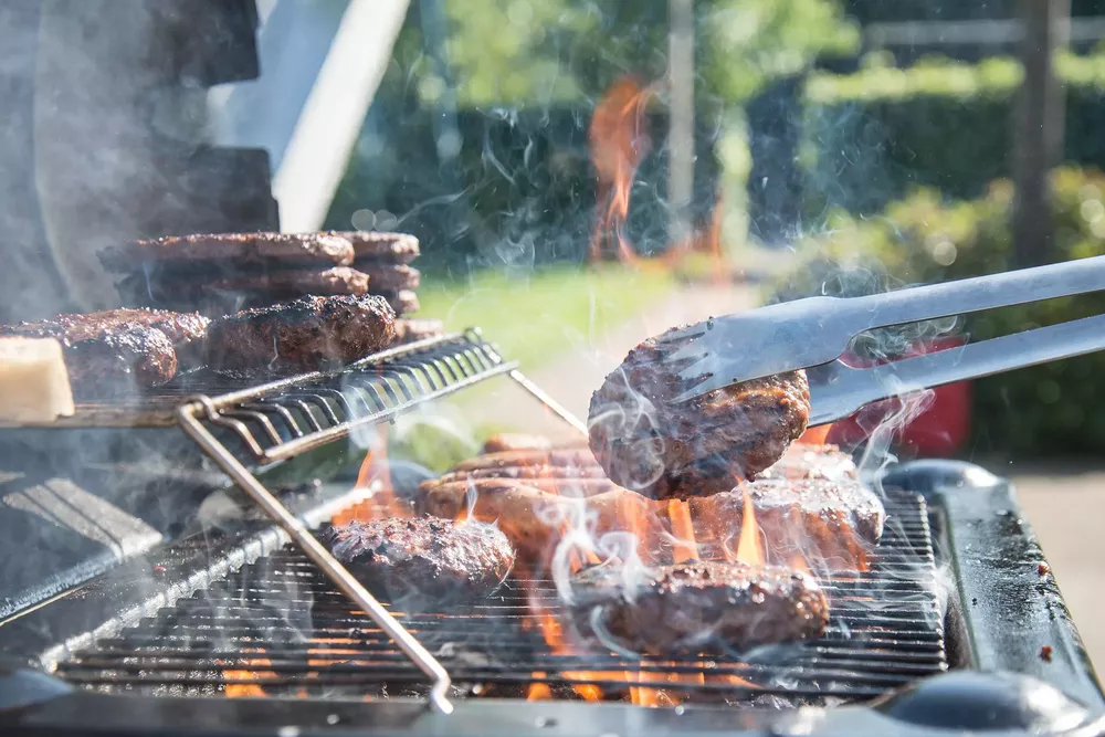 barbecue-gc0d58ed14_1920