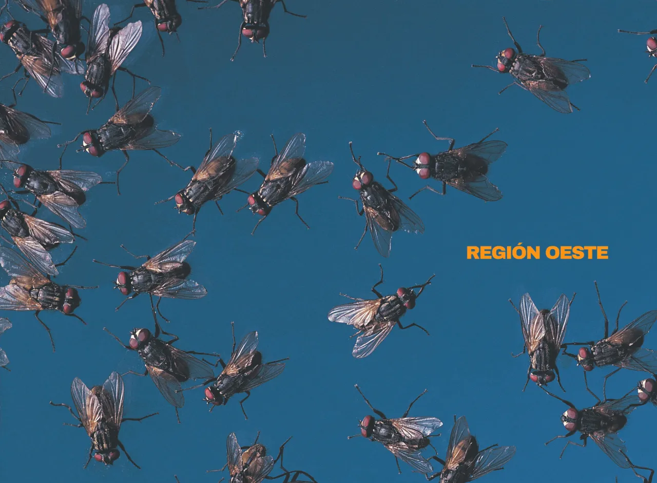 Imagenes Región Oeste (1)