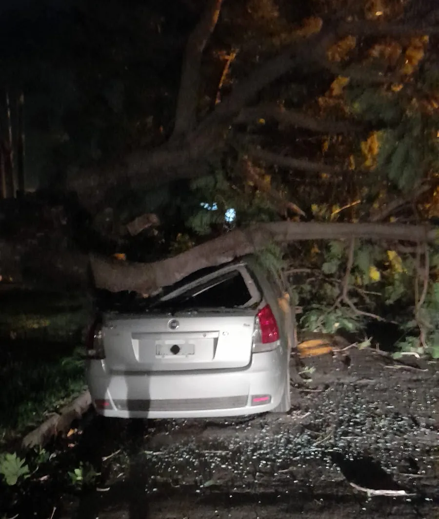 WhatsApp Image 2024-03-20 at 22.26.26