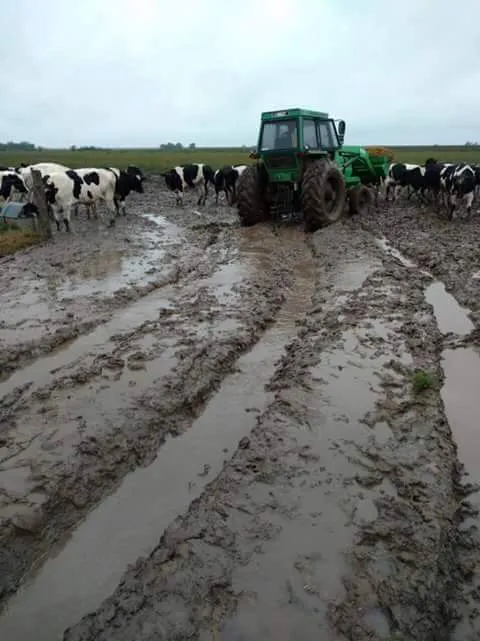 FB_IMG_1460680300469