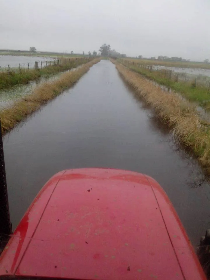 13007261_1126402054086857_2603650732578966877_n