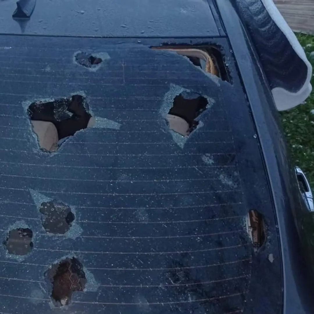 twittervid.com_mariogaloppo_f5d428