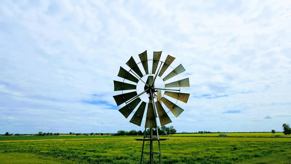 org_d120fc2ded80f711_1540749730000-EFFECTS