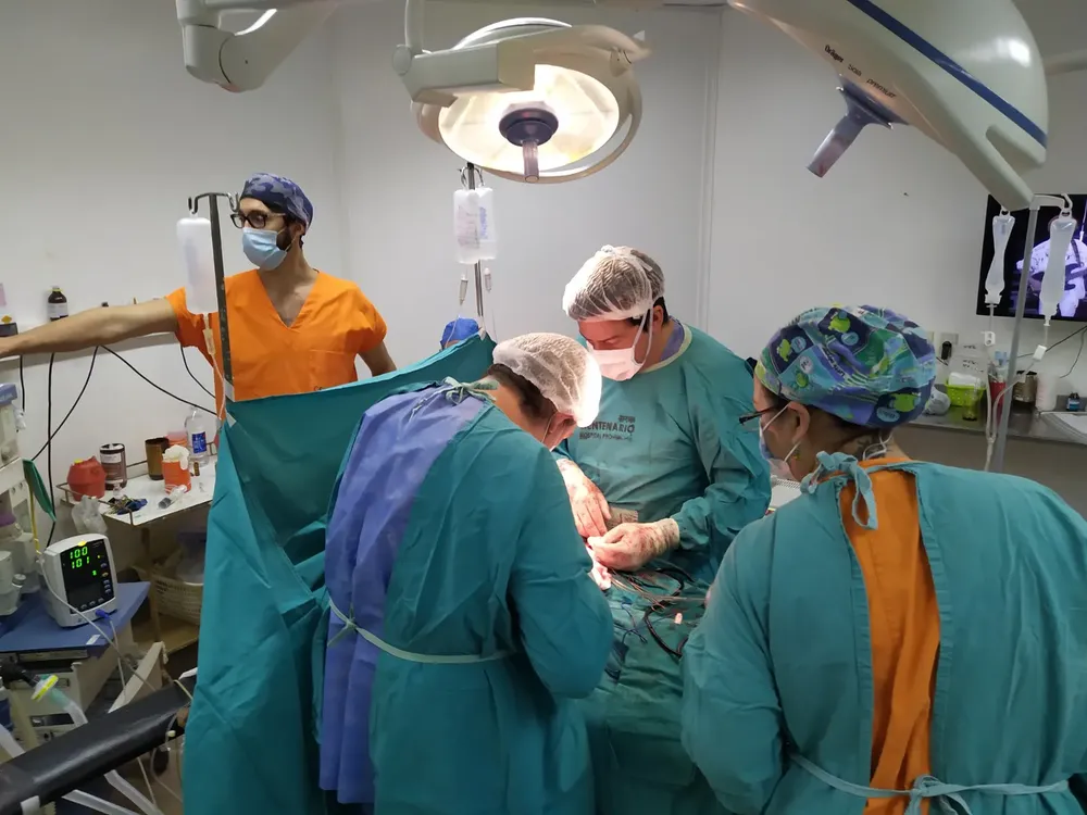 Transplante de Organos