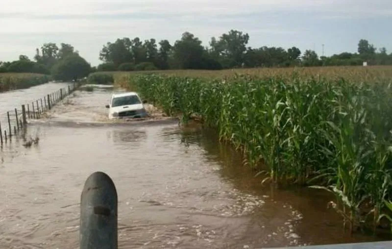 idiazabal-1200x762_c