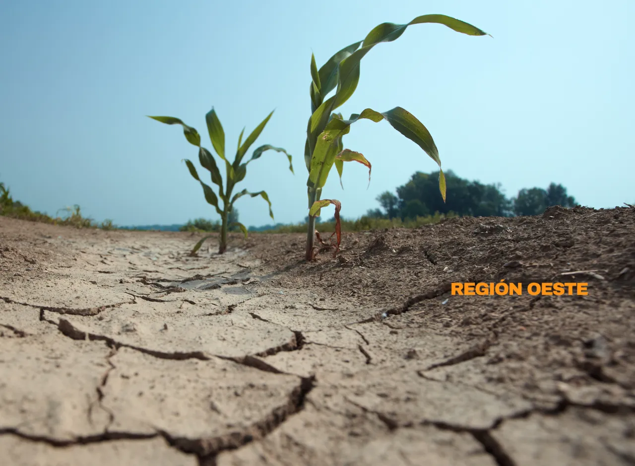 Imagenes Región Oeste