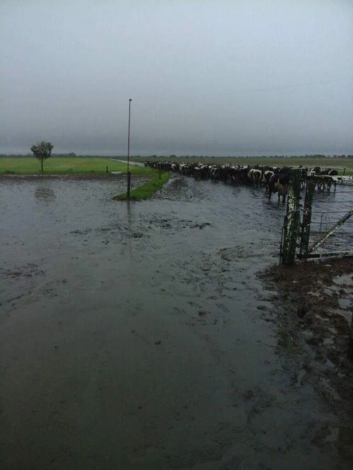 FB_IMG_1460680080228