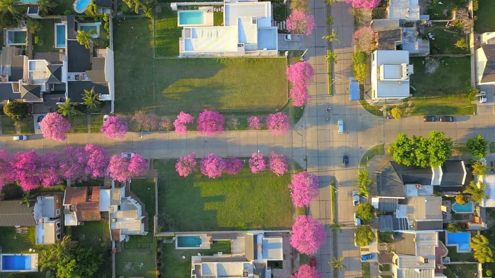 org_5325038075862db3_1537477506000