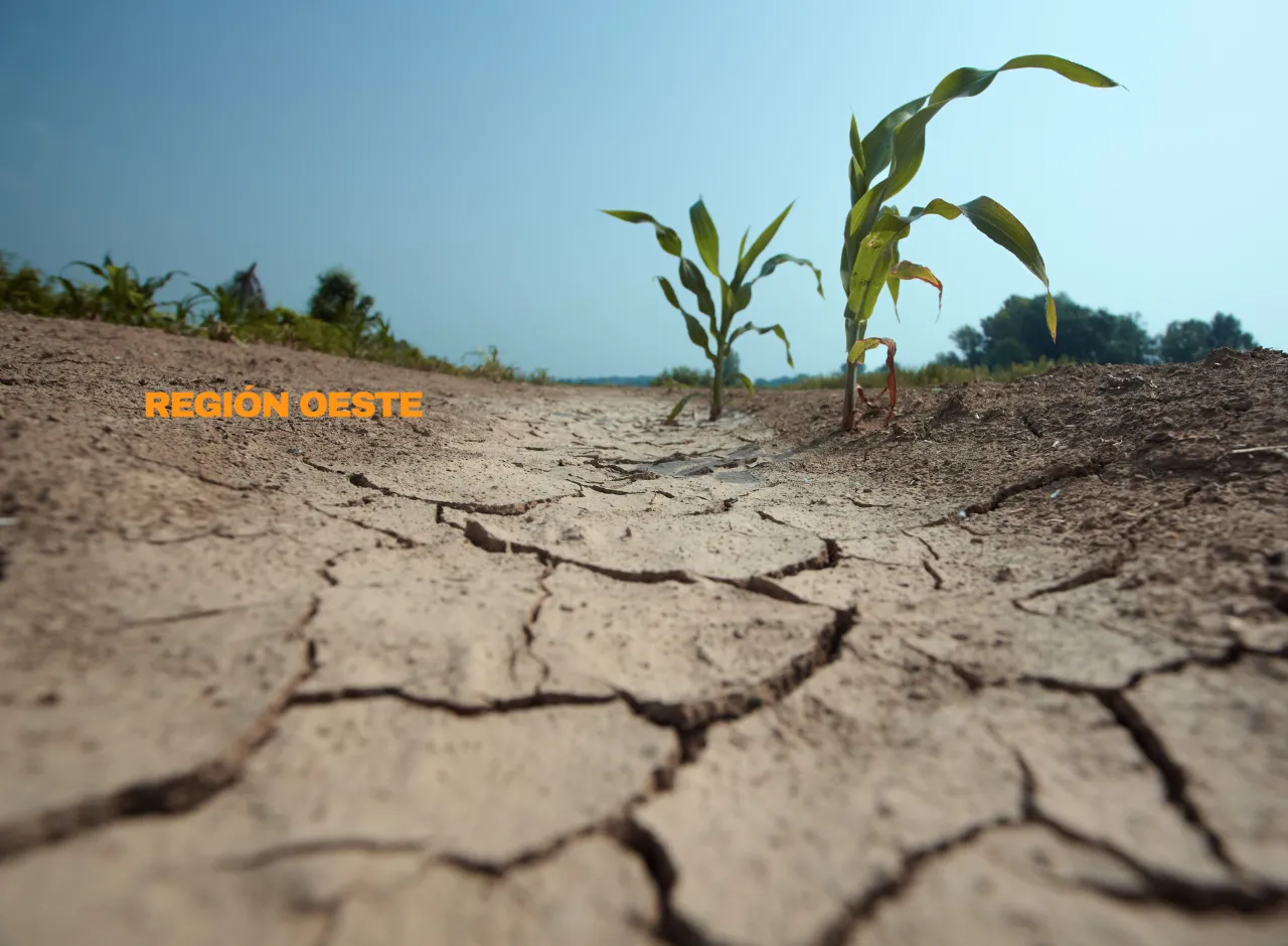 Imagenes Región Oeste